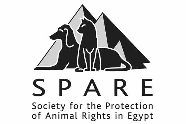  غداً الإثنين افتتاح المؤتمر العلمي العاشر للجمعية المصرية لرعاية الحيوان