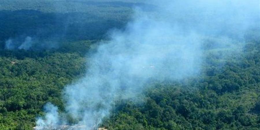   البرازيل: إخماد حرائق غابات الأمازون