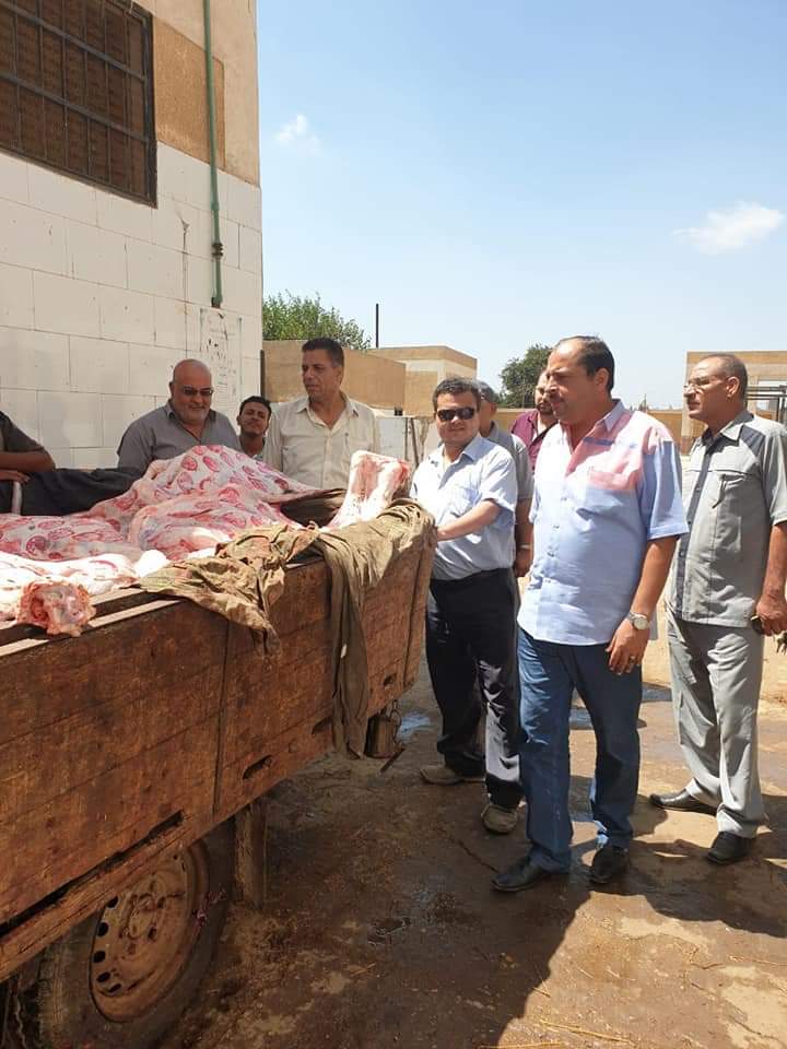    بالصور| «محلية بنها» تشن حملات بأسواق اللحوم للحد من الذبح خارج المجازر استعدادًا لعيد الأضحى