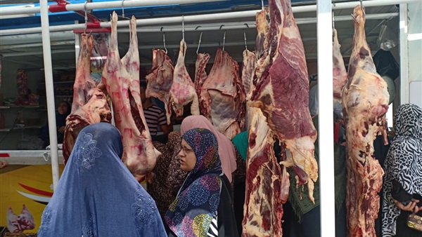   بمناسبة عيد الأضحى: توفير اللحوم بأسعار مخفضة حتى نهاية أغسطس (فيديو)