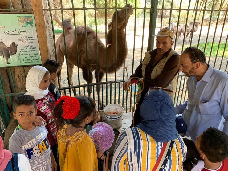   العيد فرحة | فى ثالث أيام العيد .. توافد المواطنين على حديقة الحيوان بالجيزة