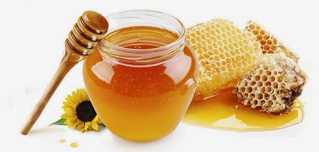   أطلاق أول مهرجان لعسل النحل المصرى 16 اكتوبر المقبل 