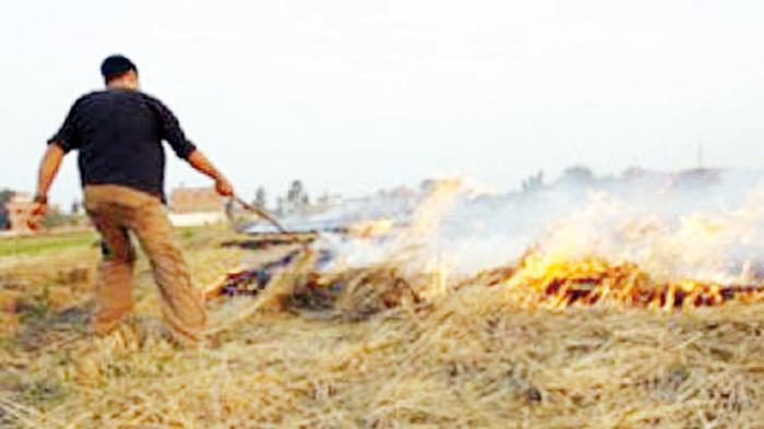   خلال موسم حصاد وحرق قش الأرز.. «الصحة»: وضع خطة للوقاية من مخاطر السحابة السوداء  