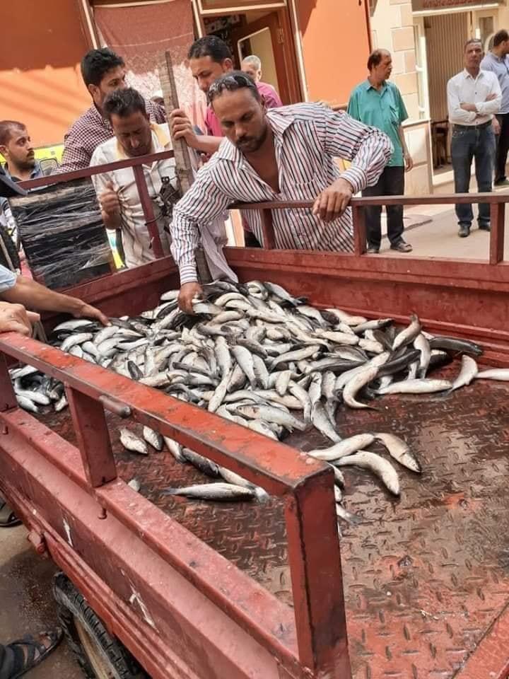  إعدام 10 أطنان من الأسماك النافقة برشيد قبل تداولها بالأسواق