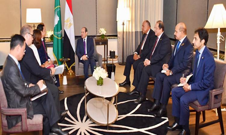   بسام راضى: الرئيس السيسى يلتقى مدير عام منظمة الأغذية والزراعة