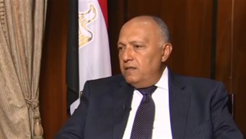   وزير الخارجية يناقش آثار «كورونا» على أوضاع المواطنين المصريين في الخارج