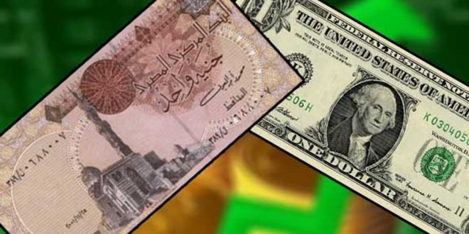   أسعار الدولار أمام الجنيه اليوم الإثنين 25 / 11 / 2019