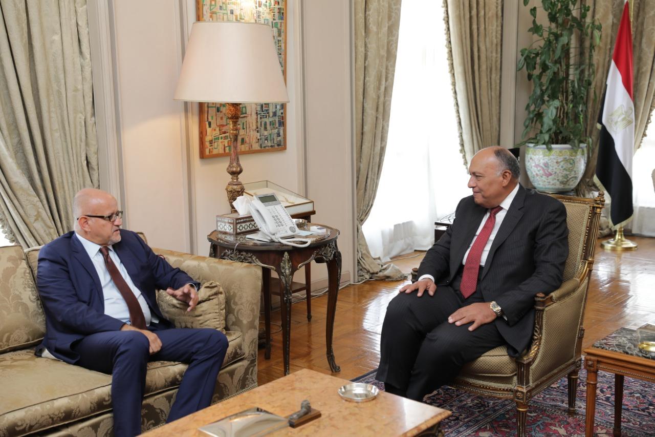   شكري يعقد جلسة مشاورات مع وزير خارجية الجبل الأسود