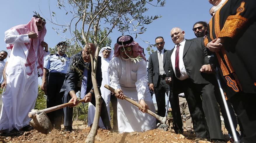   رئيس اتحاد الكرة السعودي يغرس شتلة زيتون بأرض فلسطين المحتلة   