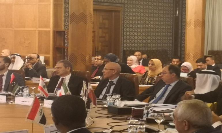   وزراء الكهرباء العرب يعتمدون النسخة المحدثة من الخطة التنفيذية للإستراتيجية العربية للطاقة المستدامة 2030
