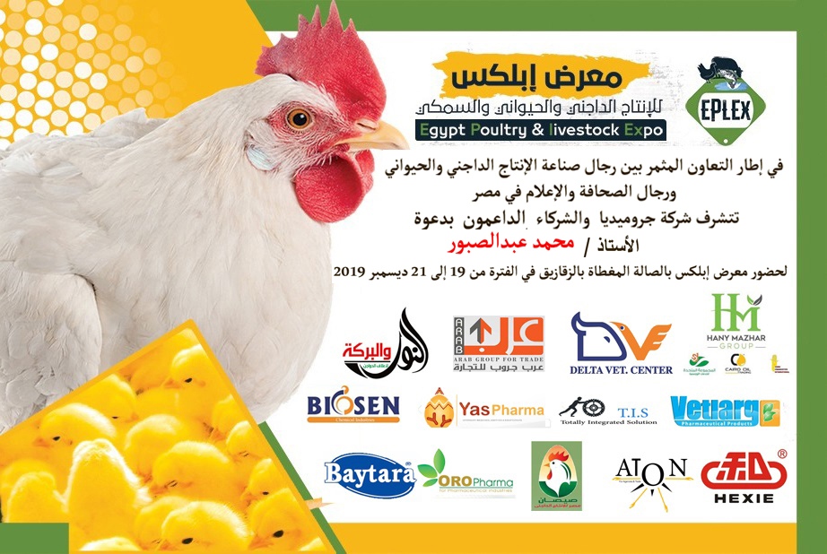   محافظة الشرقية تستقبل معرض إبلكس للإنتاج الداجنيو الحيواني
