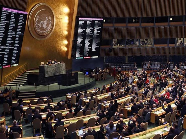   الجمعية العامة للأمم المتحدة تعتمد قرارا روسيا بشأن مكافحة الجرائم الإلكترونية