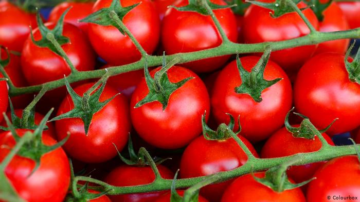   «الطماطم» تثير أزمة في إسرائيل والسبب ..