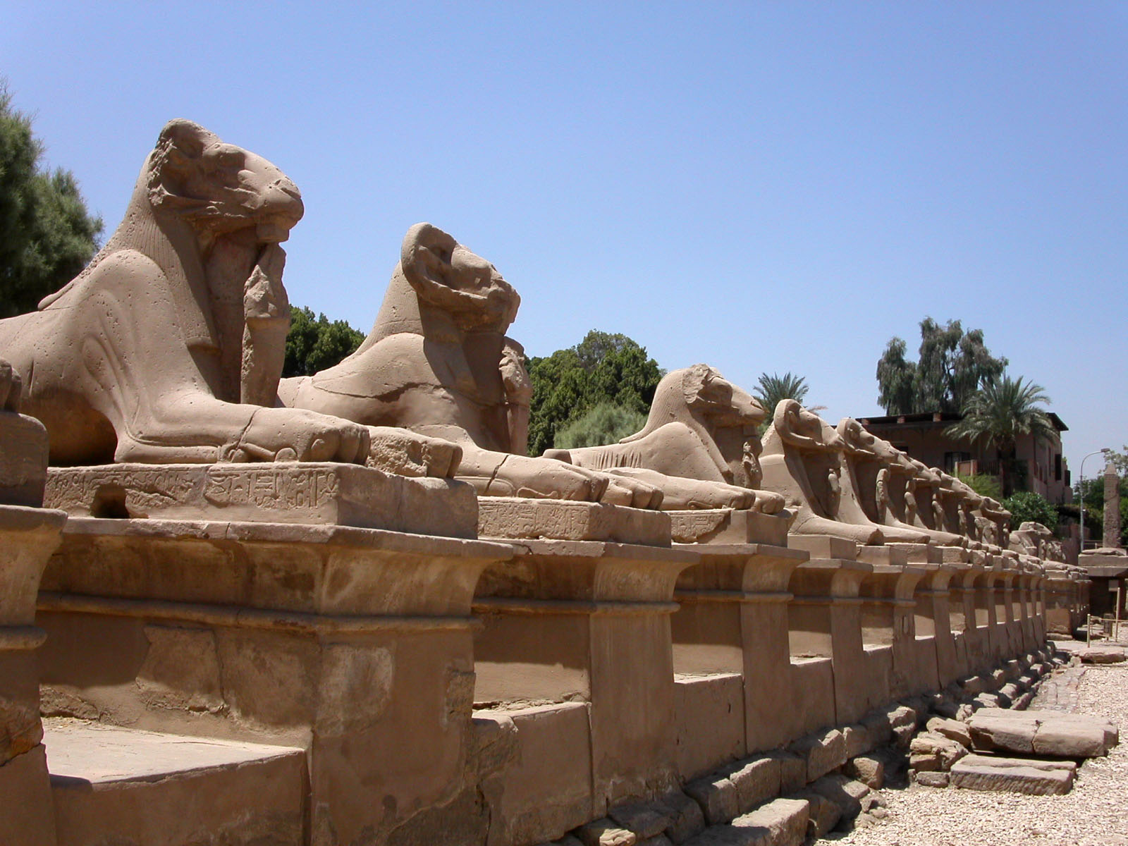   «السياحة» توضح حقيقة نقل تماثيل أبو الهول من معبد الكرنك إلى القاهرة