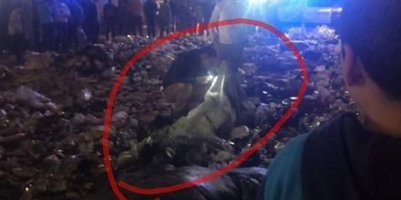   أمن القليوبية يكشف تفاصيل العثور على جثة وسط القمامة بشبرا الخيمة