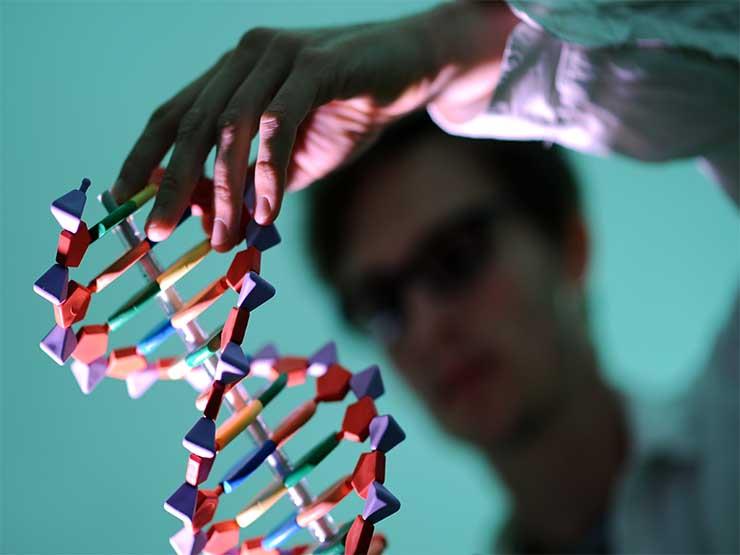   اكتشاف الـ «جين» الوراثى المتسبب فى العقم عند الرجال