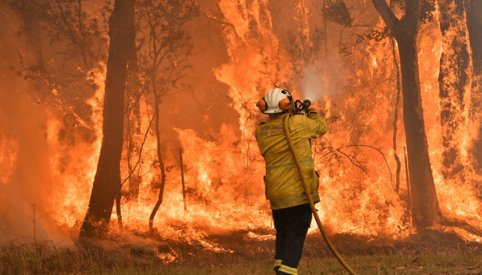   حرائق الغابات فى استراليا كارثة غير مسبوقة