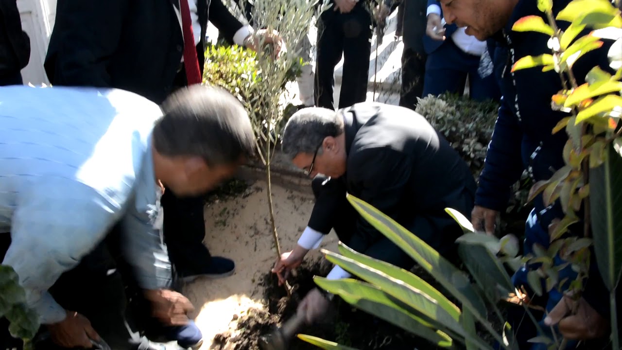   شاهد|| محافظ المنيا يغرس شجرة ضمن مبادرة «هنجملها» للحفاظ على البيئة