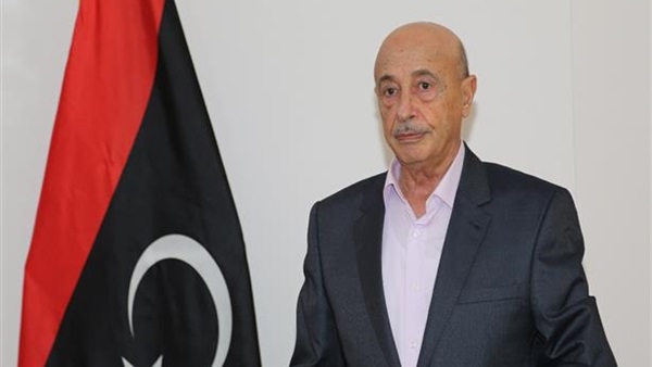   عاجل| رئيس البرلمان الليبي يصل إلى مقر مجلس النواب المصرى
