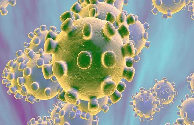   إسبانيا تعلن تسجيل أول حالة إصابة بفيروس «كورونا»