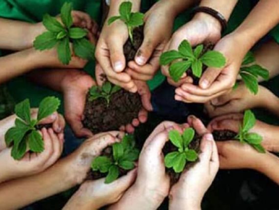   ضمن مبادرة «اتحضر للأخضر»طلاب مدرسة المنيل الرسمية للغات يزرعون أشجار بحديقة المدرسة