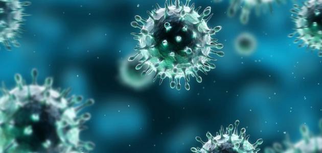   «الصحة العالمية» تعلن خلو مصر من فيروس «كورونا»