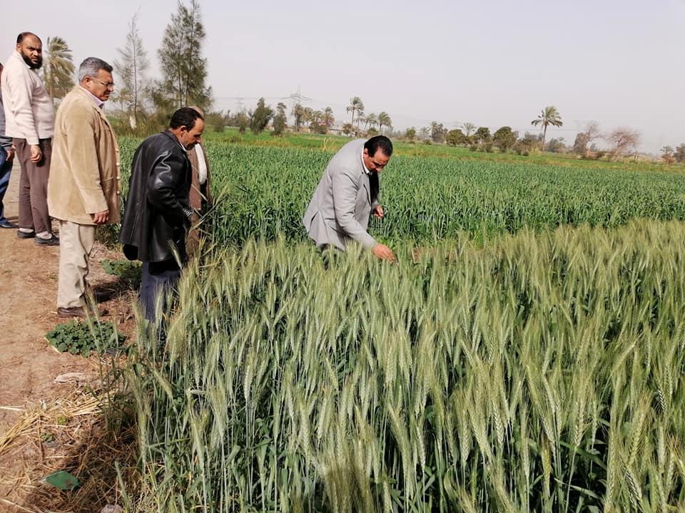   وكيل زراعة دمياط يتفقد عنابر الإنتاج الداجني وزمام الزراعات بمركز كفر سعد