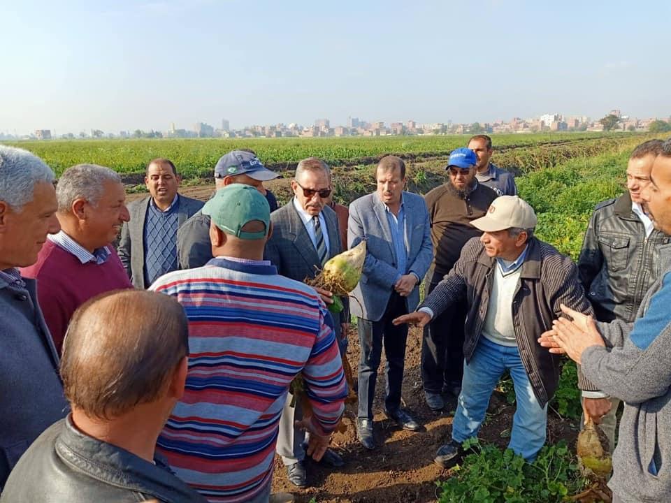   محافظ كفر الشيخ يتابع بدء حصاد محصول البنجر بقطاع الإنتاج