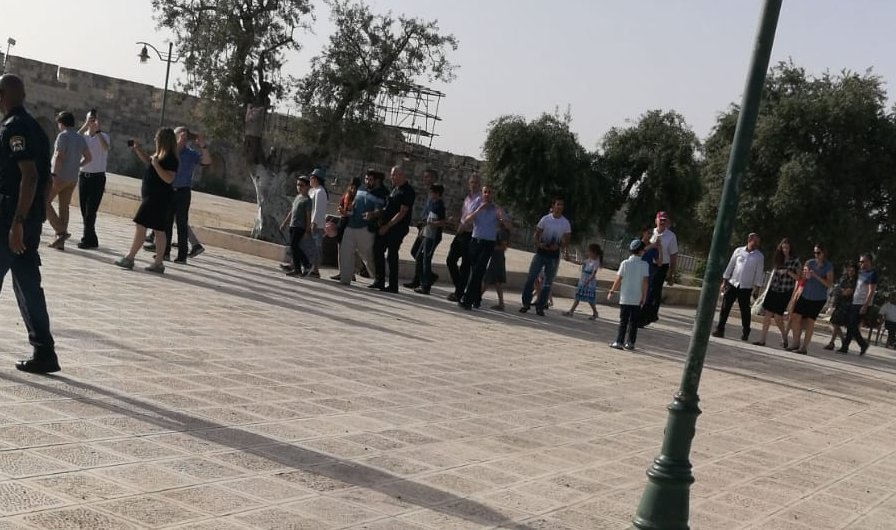   بحماية الاحتلال.. عشرات المستوطنين يقتحمون باحات المسجد الأقصى