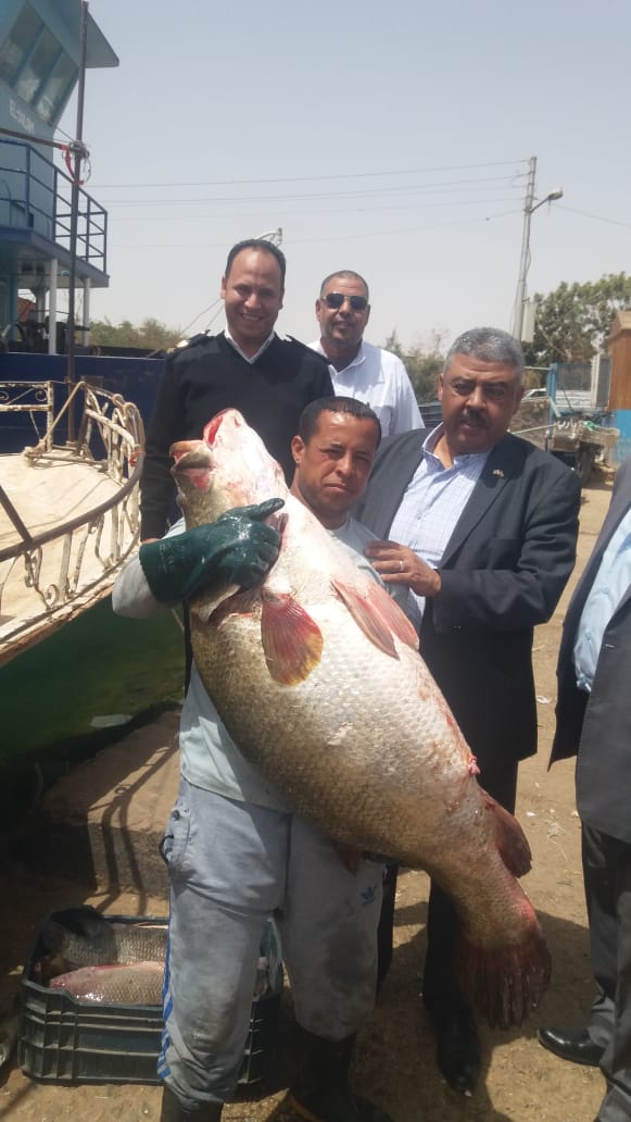   صور|| الزراعة تتابع أعمال صيد الأسماك بمحافظة أسوان