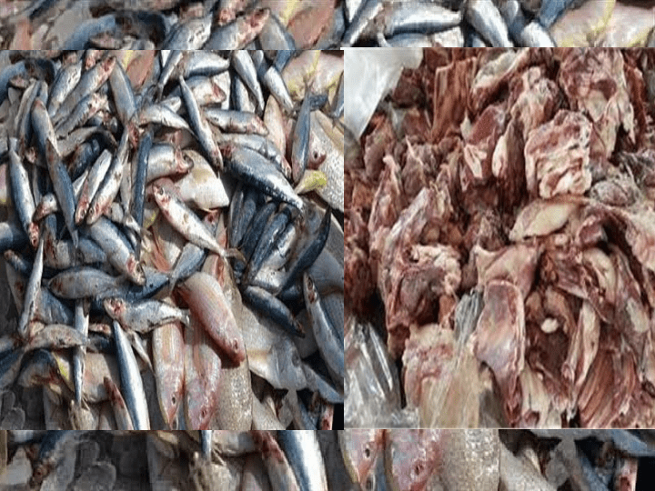  طب بيطري الإسماعيلية:  ضبط ما يزيد عن 550 كيلو جرام من اللحوم و الأسماك الفاسدة 