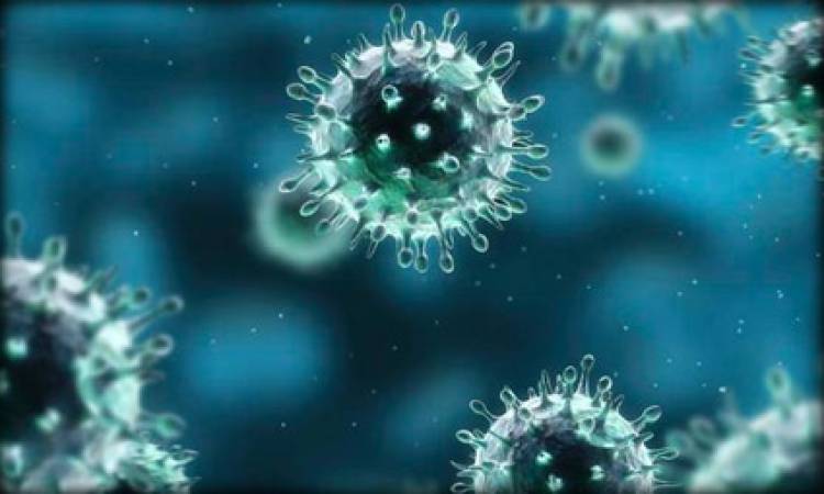   د.محمد إبراهيم بسيوني يكشف لـ«دار المعارف» معلومات خطيرة عن covid-19‬⁩ الناتج عن فيروس الكورونا‬⁩