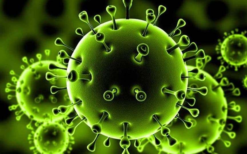   د. محمد إبراهيم بسيوني لـ«دار المعارف» يوضح طرق انتقال العدوي بـ coronavirus 2