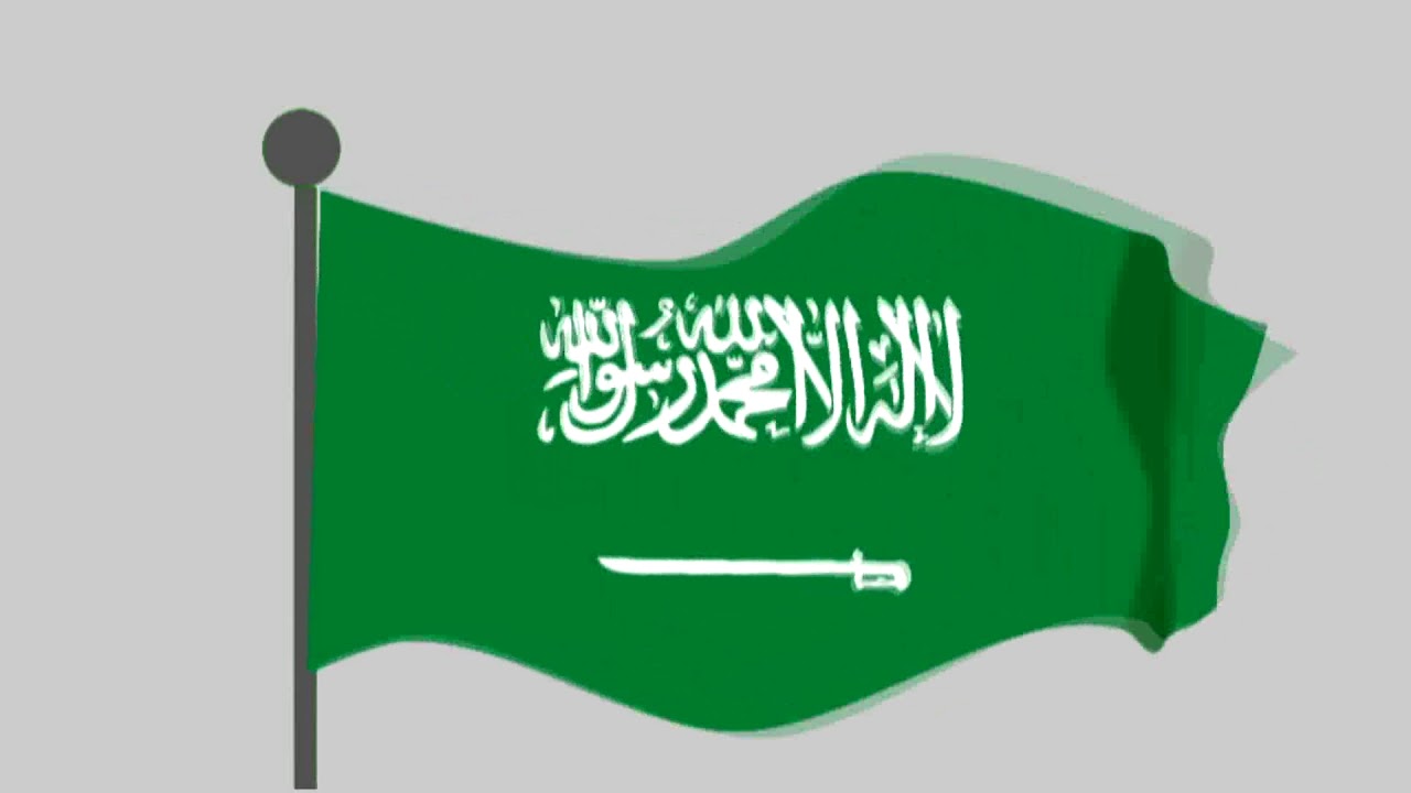 السعودية تفوز بعضوية لجنتين بالمجلس الاقتصادي والاجتماعي للأمم المتحدة