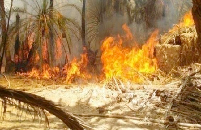   بـ 3 سيارات إطفاء.. السيطرة على حريق فى مزرعة أشجار خاصة بالصرف الصحى بسوهاج