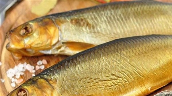   الصحة: ضبط وإعدام 53 طن أغذية متنوعة وأسماك مملحة ومدخنة قبل شم النسيم