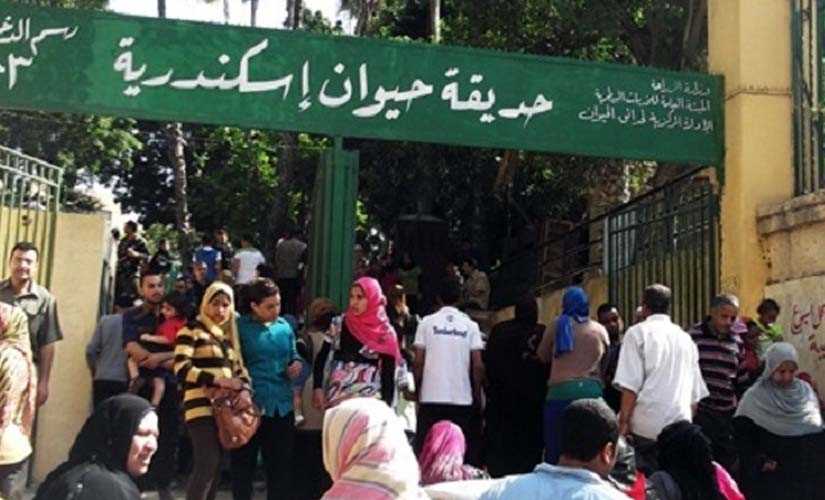   محافظ الإسكندرية: لن نسمح بالتجمعات في يوم شم النسيم