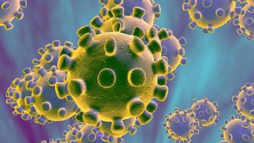   مركز الحوار يصدر دراسة جديدة عن تداعيات فيروس كورونا