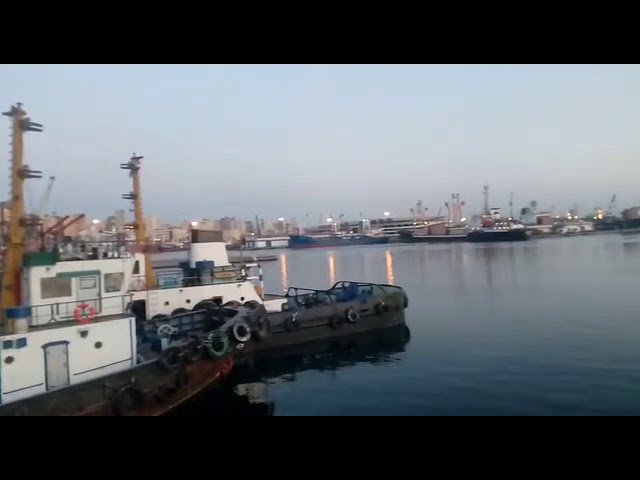   بأمر الربان شاهين.. السفن التجارية والقاطرات البحرية بميناء الإسكندرية ترسل التحية للخدمات البحرية والصحية بهذه الطريقة| شاهد