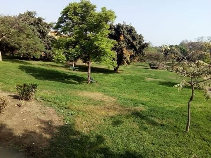   صور ||حدائق ومتنزهات القناطر الخيرية  خالية من الزائرين فى شم النسيم بسبب «كورونا»