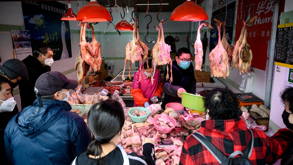   الصين تعيد فتح أكبر سوق للحيوانات الحية في ووهان