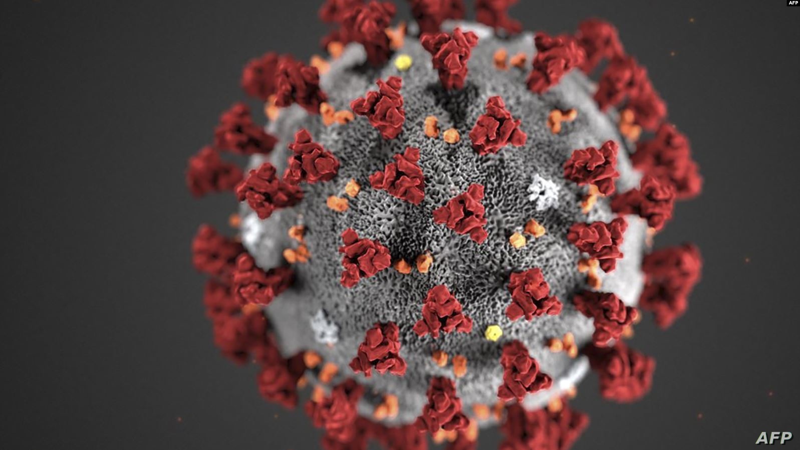   تسجيل أكثر من 4 ملايين و400 ألف حالة شفاء من فيروس كورونا حول العالم