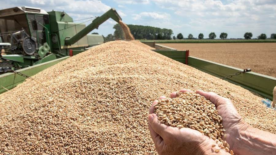   محافظ قنا: توريد 4717 طن من القمح للصوامع والشون