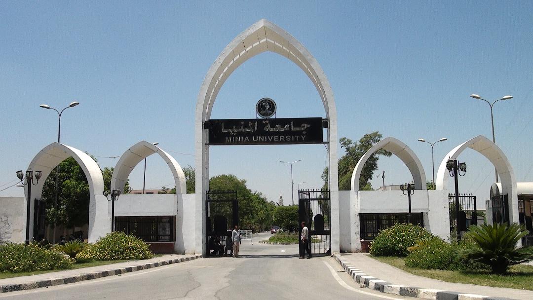   جامعة المنيا تشكل لجنة من «العمداء» لدعم العملية التعليمية أثناء «كورونا»