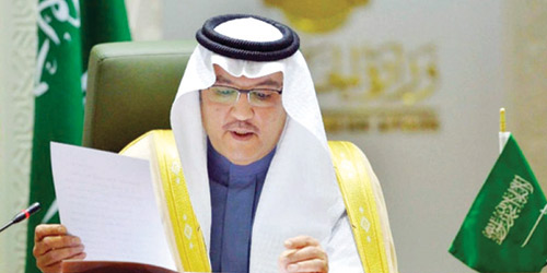   السفير نقلي يشارك في اجتماع افتراضي للجنة التنفيذية لمجلس الأعمال السعودي المصري