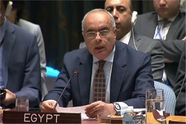   مصر تتولي رئاسة المجموعة الأفريقية في نيويورك خلال الشهر الجاري