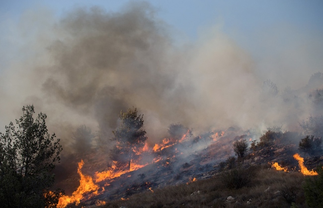   اندلاع حريق هائل في الغابات بوسط إسرائيل وإخلاء منازل