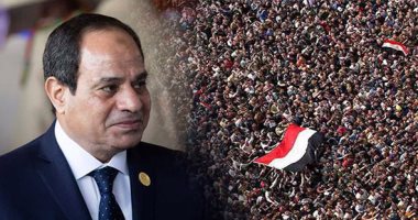   د. مصطفى مرتضى: ثورة 30 يونيو أعادت لمصر هويتها ومكانتها
