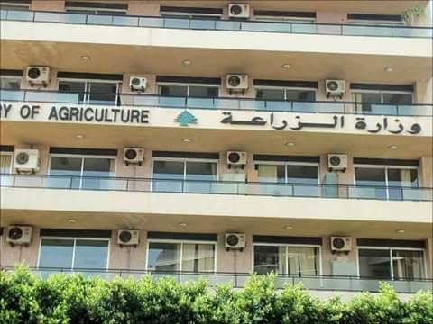   الزراعة: تقوم بتطهير أكثر من 148 ألف منشأة حكومية مجاناً للوقاية من فيروس كورونا في 27 محافظة