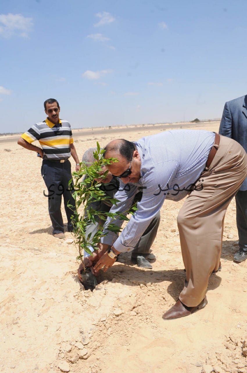   بعد أكثر من ١٠ أعوام الأخضر يستعيد أرض النادي ببرج العرب